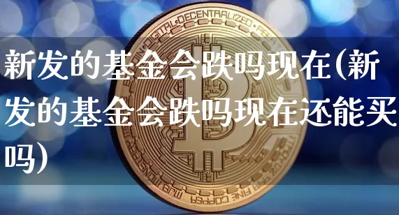 新发的基金会跌吗现在(新发的基金会跌吗现在还能买吗)_https://www.cangshenghg.com_北交所_第1张