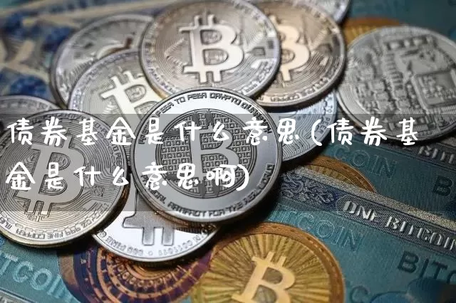 债券基金是什么意思(债券基金是什么意思啊)_https://www.cangshenghg.com_北交所_第1张