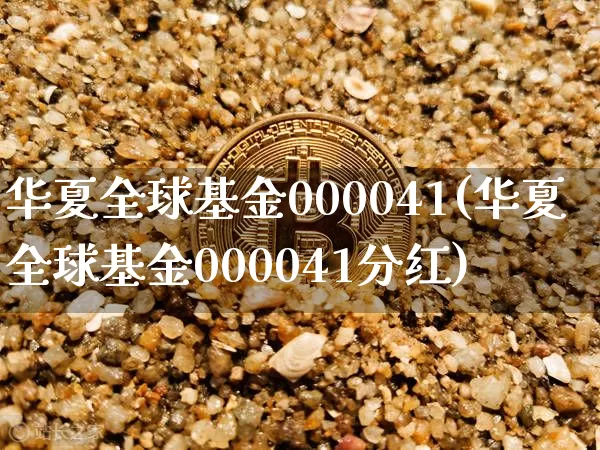 华夏全球基金000041(华夏全球基金000041分红)_https://www.cangshenghg.com_创业板_第1张