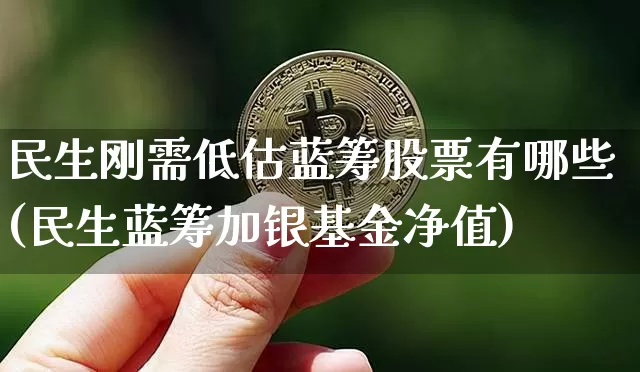 民生刚需低估蓝筹股票有哪些(民生蓝筹加银基金净值)_https://www.cangshenghg.com_A股_第1张