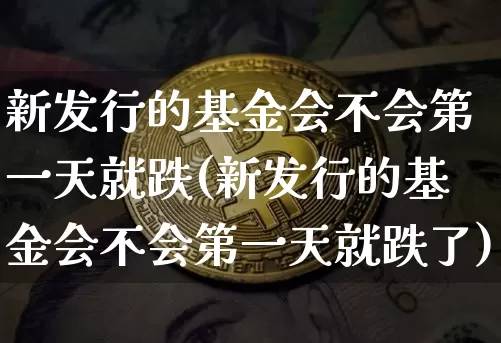 新发行的基金会不会第一天就跌(新发行的基金会不会第一天就跌了)_https://www.cangshenghg.com_创业板_第1张