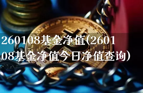 260108基金净值(260108基金净值今日净值查询)_https://www.cangshenghg.com_创业板_第1张