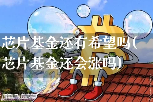 芯片基金还有希望吗(芯片基金还会涨吗)_https://www.cangshenghg.com_A股_第1张