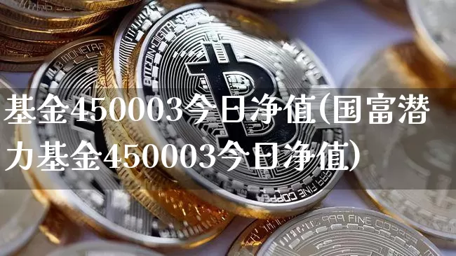 基金450003今日净值(国富潜力基金450003今日净值)_https://www.cangshenghg.com_创业板_第1张