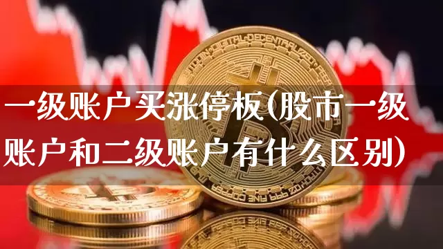 一级账户买涨停板(股市一级账户和二级账户有什么区别)_https://www.cangshenghg.com_科创板_第1张