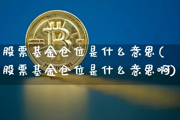 股票基金仓位是什么意思(股票基金仓位是什么意思啊)_https://www.cangshenghg.com_北交所_第1张