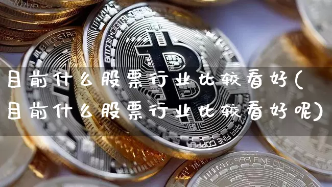 目前什么股票行业比较看好(目前什么股票行业比较看好呢)_https://www.cangshenghg.com_科创板_第1张