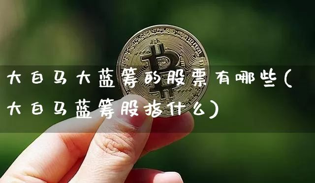 大白马大蓝筹的股票有哪些(大白马蓝筹股指什么)_https://www.cangshenghg.com_财经新闻_第1张