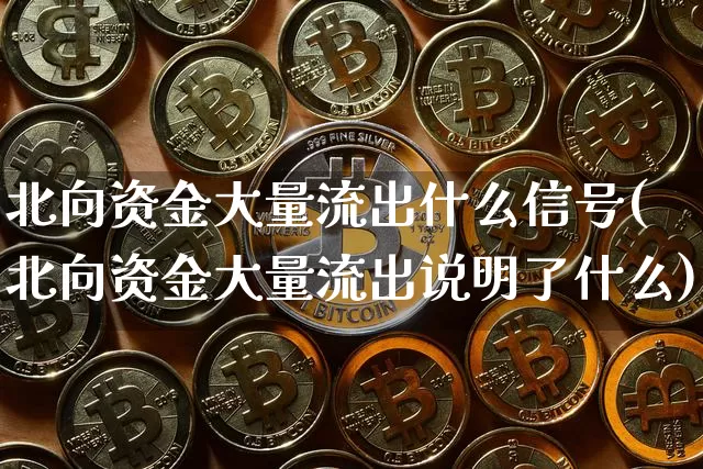 北向资金大量流出什么信号(北向资金大量流出说明了什么)_https://www.cangshenghg.com_北交所_第1张