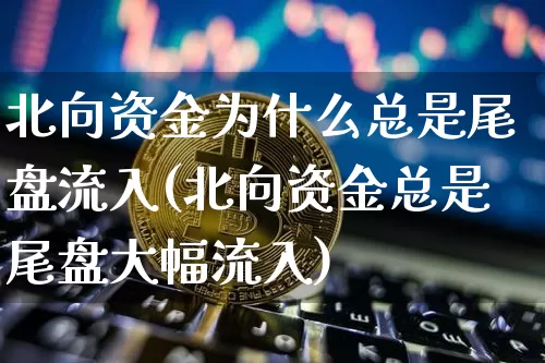 北向资金为什么总是尾盘流入(北向资金总是尾盘大幅流入)_https://www.cangshenghg.com_北交所_第1张