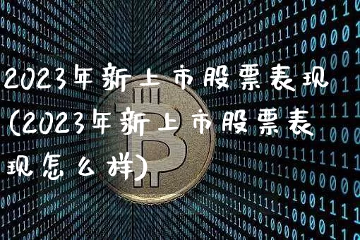 2023年新上市股票表现(2023年新上市股票表现怎么样)_https://www.cangshenghg.com_创业板_第1张