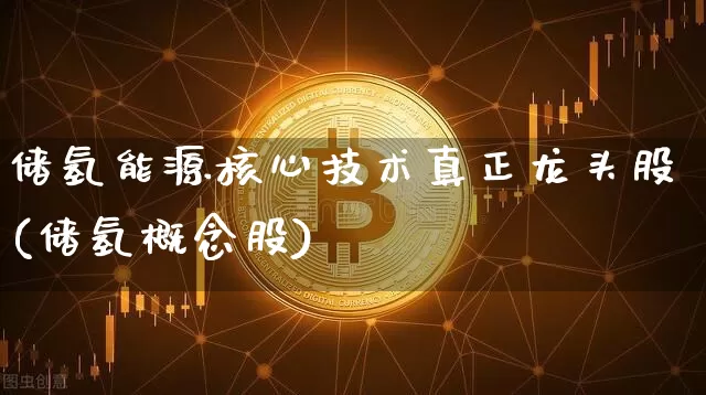 储氢能源核心技术真正龙头股(储氢概念股)_https://www.cangshenghg.com_A股_第1张