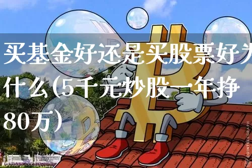 买基金好还是买股票好为什么(5千元炒股一年挣80万)_https://www.cangshenghg.com_北交所_第1张