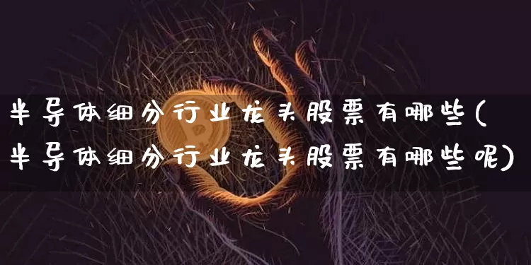 半导体细分行业龙头股票有哪些(半导体细分行业龙头股票有哪些呢)_https://www.cangshenghg.com_北交所_第1张