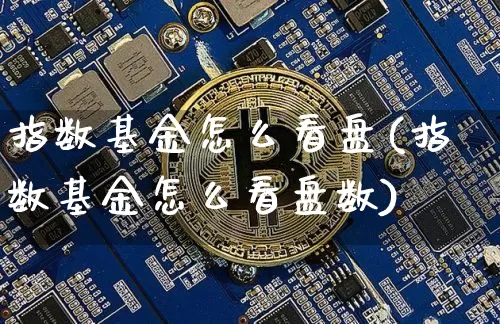 指数基金怎么看盘(指数基金怎么看盘数)_https://www.cangshenghg.com_A股_第1张