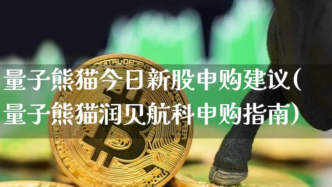 量子熊猫今日新股申购建议(量子熊猫润贝航科申购指南)_https://www.cangshenghg.com_科创板_第1张
