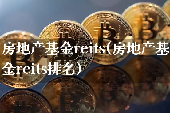 房地产基金reits(房地产基金reits排名)_https://www.cangshenghg.com_财经新闻_第1张