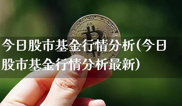今日股市基金行情分析(今日股市基金行情分析最新)_https://www.cangshenghg.com_北交所_第1张