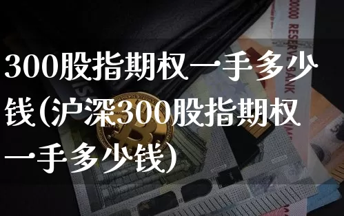 300股指期权一手多少钱(沪深300股指期权一手多少钱)_https://www.cangshenghg.com_北交所_第1张