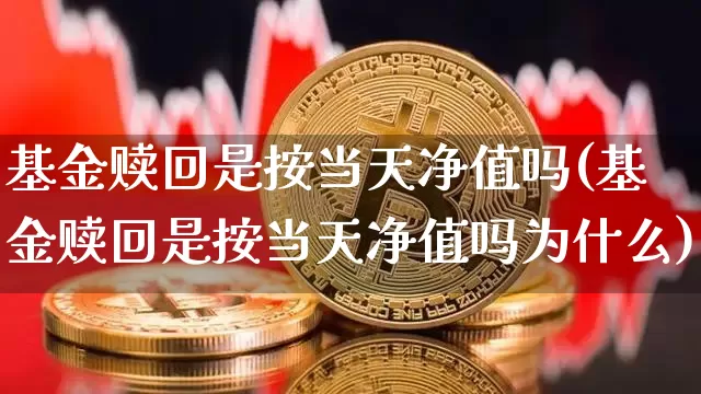 基金赎回是按当天净值吗(基金赎回是按当天净值吗为什么)_https://www.cangshenghg.com_财经新闻_第1张