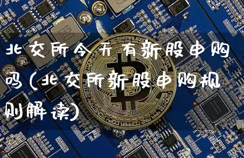 北交所今天有新股申购吗(北交所新股申购规则解读)_https://www.cangshenghg.com_北交所_第1张