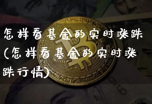 怎样看基金的实时涨跌(怎样看基金的实时涨跌行情)_https://www.cangshenghg.com_北交所_第1张