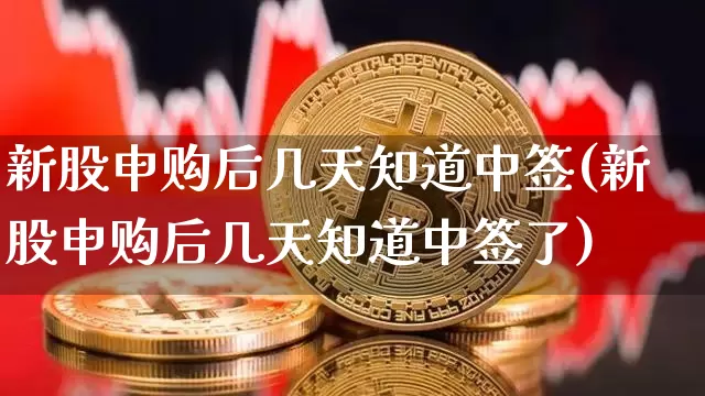 新股申购后几天知道中签(新股申购后几天知道中签了)_https://www.cangshenghg.com_A股_第1张