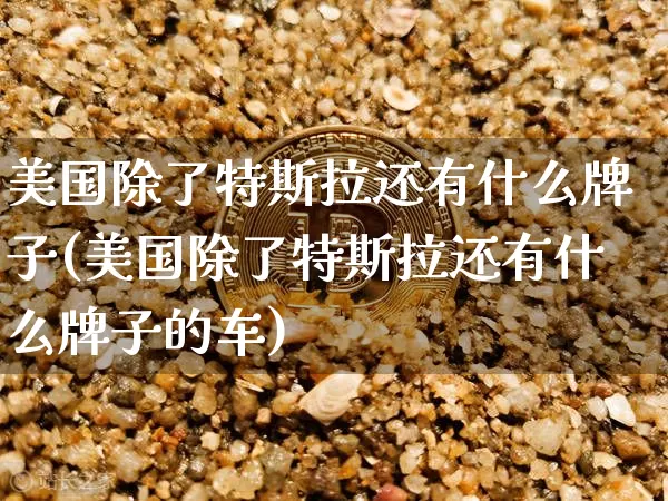 美国除了特斯拉还有什么牌子(美国除了特斯拉还有什么牌子的车)_https://www.cangshenghg.com_A股_第1张