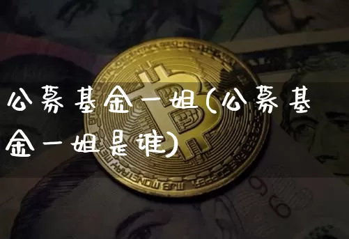 公募基金一姐(公募基金一姐是谁)_https://www.cangshenghg.com_科创板_第1张