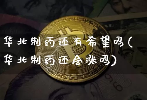 华北制药还有希望吗(华北制药还会涨吗)_https://www.cangshenghg.com_财经新闻_第1张