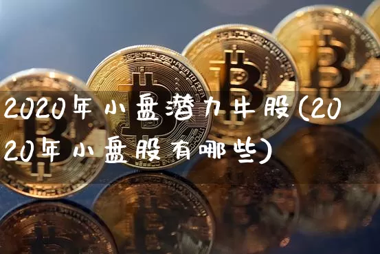 2020年小盘潜力牛股(2020年小盘股有哪些)_https://www.cangshenghg.com_财经新闻_第1张