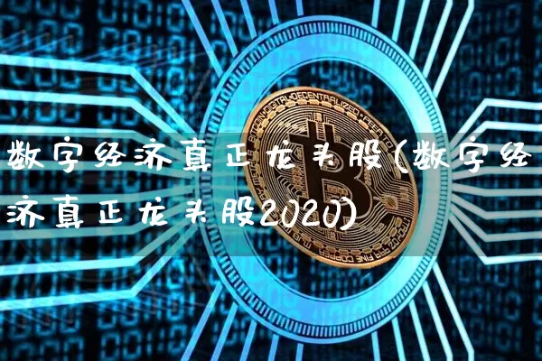 数字经济真正龙头股(数字经济真正龙头股2020)_https://www.cangshenghg.com_北交所_第1张