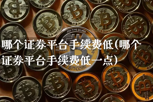 哪个证券平台手续费低(哪个证券平台手续费低一点)_https://www.cangshenghg.com_科创板_第1张