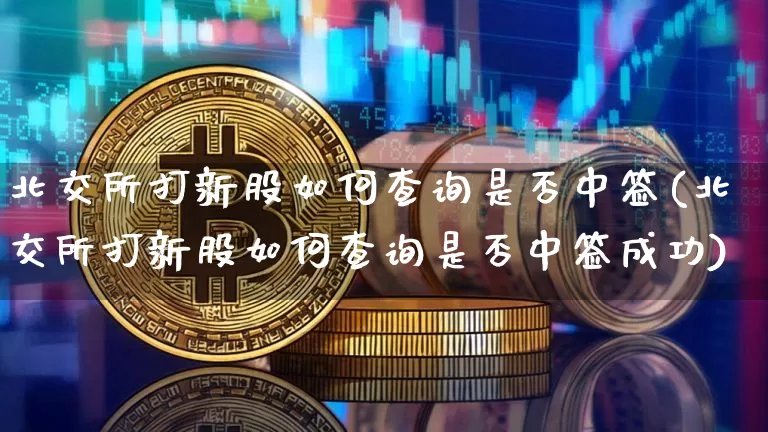 北交所打新股如何查询是否中签(北交所打新股如何查询是否中签成功)_https://www.cangshenghg.com_科创板_第1张