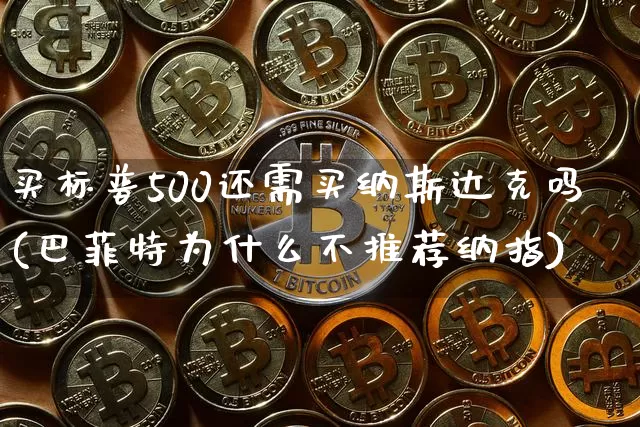 买标普500还需买纳斯达克吗(巴菲特为什么不推荐纳指)_https://www.cangshenghg.com_北交所_第1张