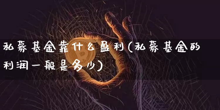 私募基金靠什么盈利(私募基金的利润一般是多少)_https://www.cangshenghg.com_科创板_第1张
