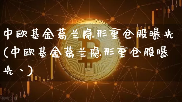 中欧基金葛兰隐形重仓股曝光(中欧基金葛兰隐形重仓股曝光丶)_https://www.cangshenghg.com_北交所_第1张