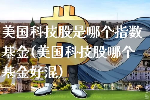 美国科技股是哪个指数基金(美国科技股哪个基金好混)_https://www.cangshenghg.com_北交所_第1张