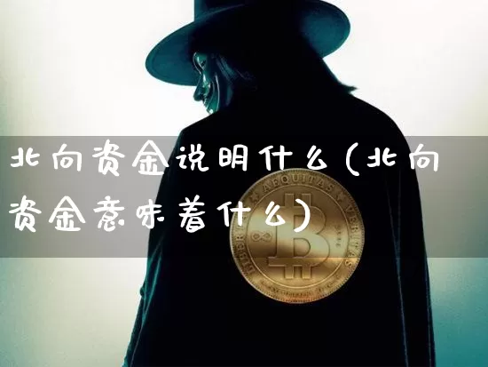 北向资金说明什么(北向资金意味着什么)_https://www.cangshenghg.com_科创板_第1张