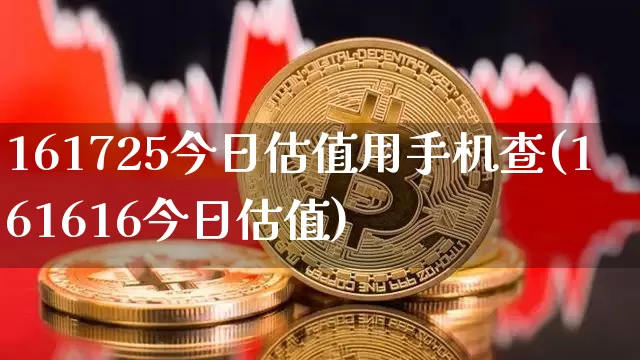 161725今日估值用手机查(161616今日估值)_https://www.cangshenghg.com_创业板_第1张