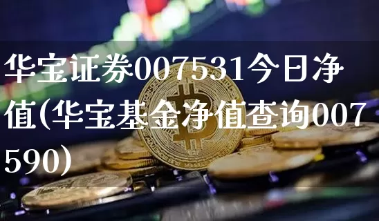 华宝证券007531今日净值(华宝基金净值查询007590)_https://www.cangshenghg.com_北交所_第1张