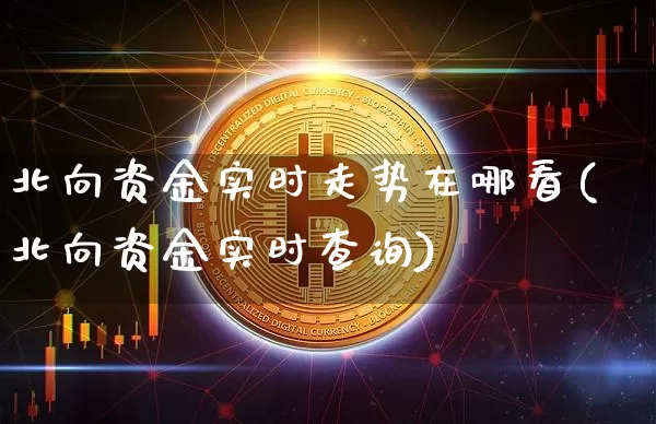 北向资金实时走势在哪看(北向资金实时查询)_https://www.cangshenghg.com_创业板_第1张