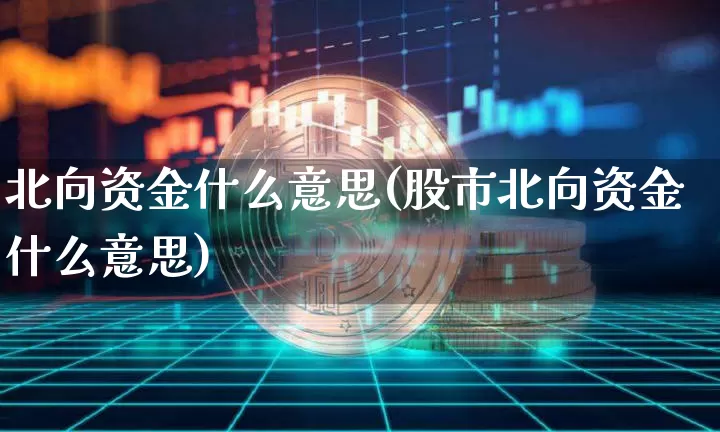 北向资金什么意思(股市北向资金什么意思)_https://www.cangshenghg.com_创业板_第1张