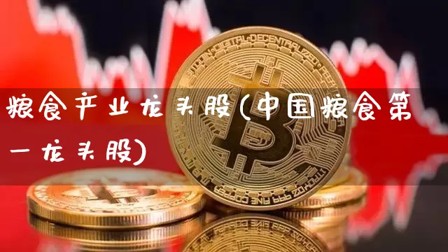 粮食产业龙头股(中国粮食第一龙头股)_https://www.cangshenghg.com_创业板_第1张