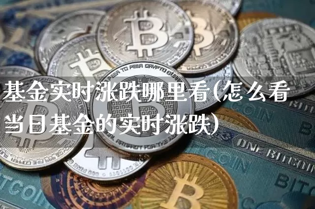 基金实时涨跌哪里看(怎么看当日基金的实时涨跌)_https://www.cangshenghg.com_科创板_第1张