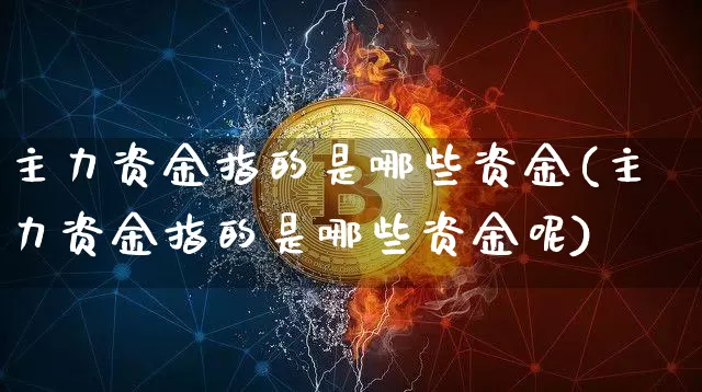 主力资金指的是哪些资金(主力资金指的是哪些资金呢)_https://www.cangshenghg.com_北交所_第1张