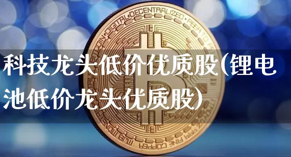 科技龙头低价优质股(锂电池低价龙头优质股)_https://www.cangshenghg.com_A股_第1张