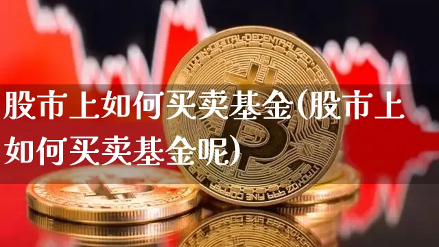 股市上如何买卖基金(股市上如何买卖基金呢)_https://www.cangshenghg.com_科创板_第1张