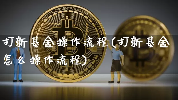 打新基金操作流程(打新基金怎么操作流程)_https://www.cangshenghg.com_北交所_第1张