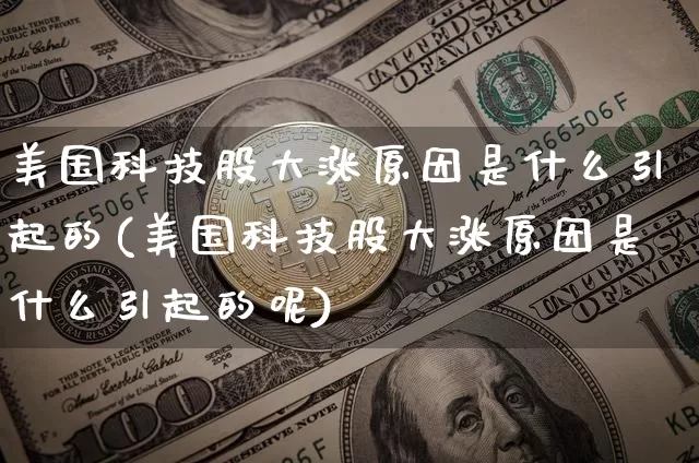 美国科技股大涨原因是什么引起的(美国科技股大涨原因是什么引起的呢)_https://www.cangshenghg.com_创业板_第1张